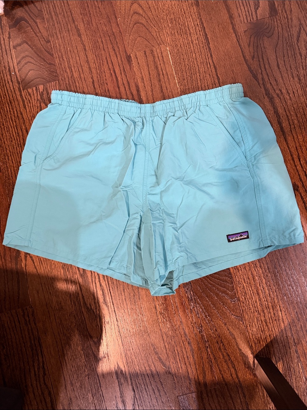 Patagonia Light Teal Elastic Waist Swim Shorts